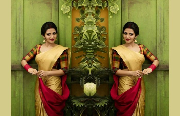 Kerala Saree With Checkered Blouse